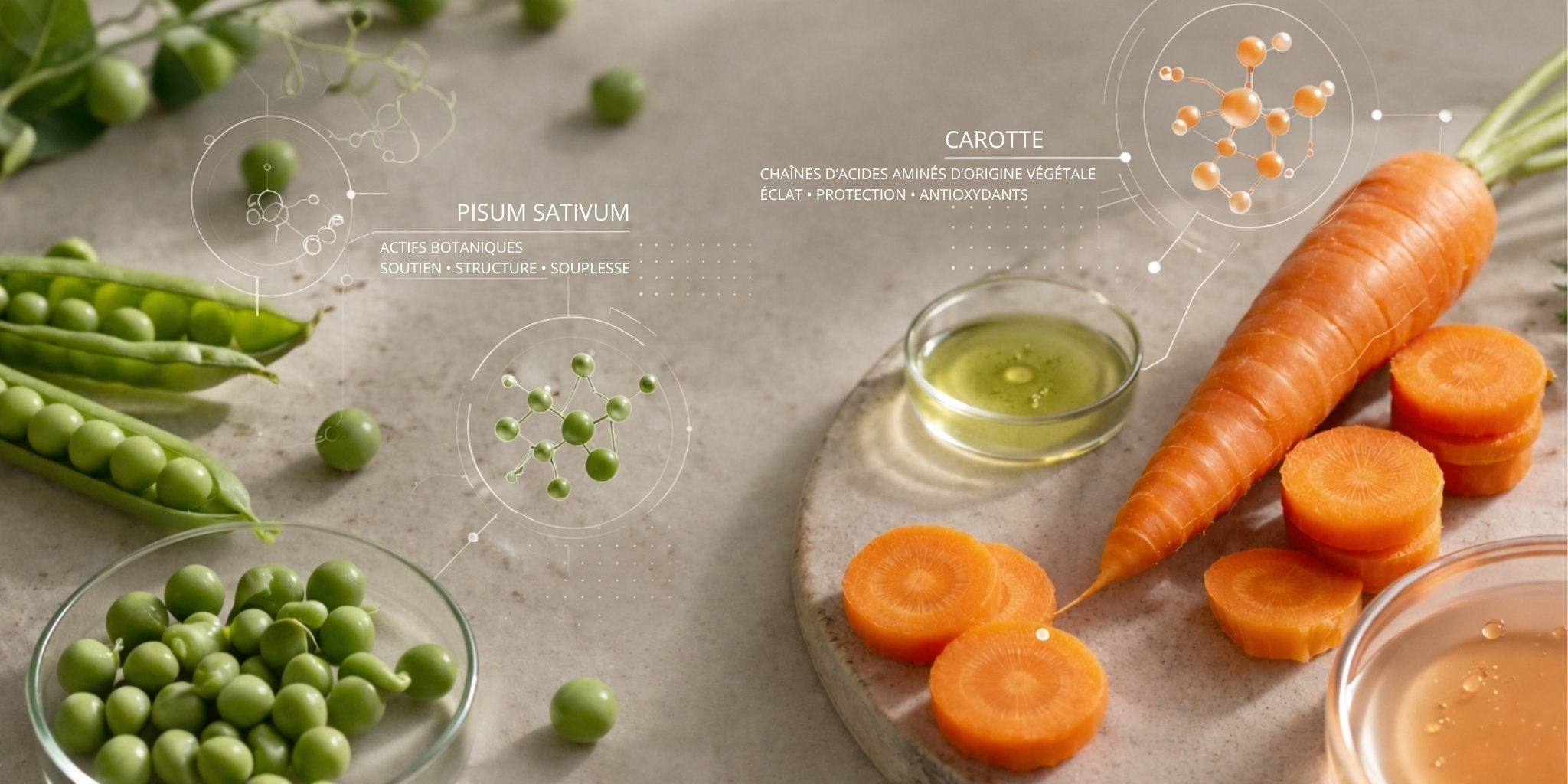 Les peptides, ces ingrédients qu'on ne vous explique jamais et qu'on a décidé de vous expliquer.