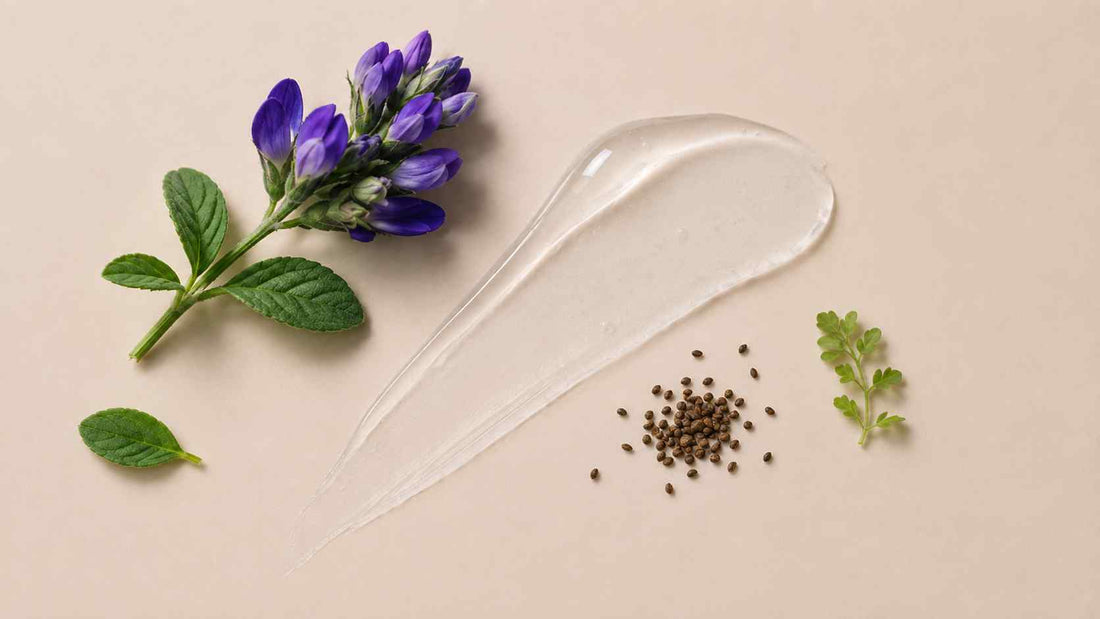 Le bakuchiol : l'alternative végétale au rétinol qui redéfinit les soins anti-âge naturels